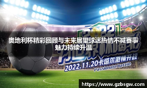 奥地利杯精彩回顾与未来展望球迷热情不减赛事魅力持续升温
