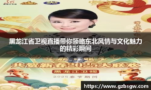 黑龙江省卫视直播带你领略东北风情与文化魅力的精彩瞬间