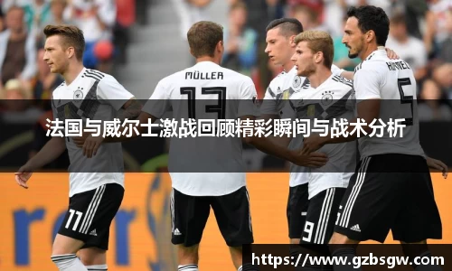 法国与威尔士激战回顾精彩瞬间与战术分析